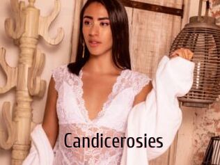Candicerosies
