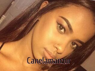 Canelamanzur