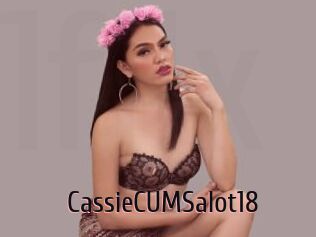 CassieCUMSalot18