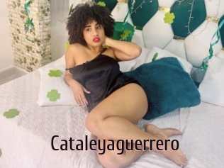 Cataleyaguerrero