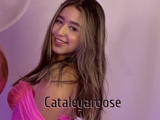 Cataleyaroose