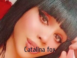 Catalina_fox