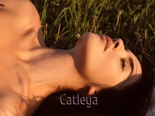 Catleya