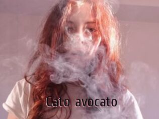 Cato_avocato
