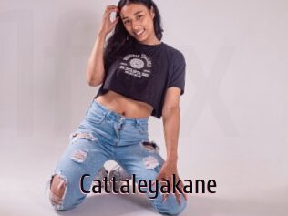 Cattaleyakane