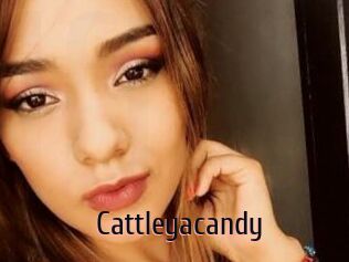 Cattleyacandy