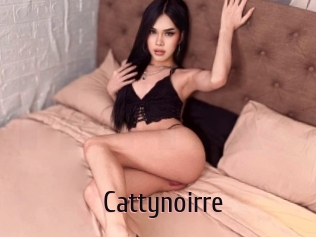 Cattynoirre