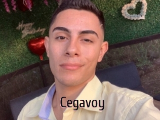 Cegavoy