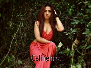 celinehest 1 film x