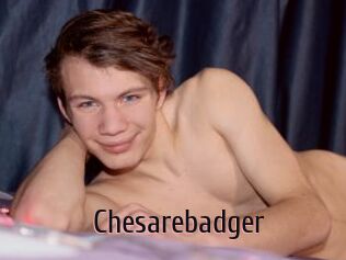 Chesarebadger