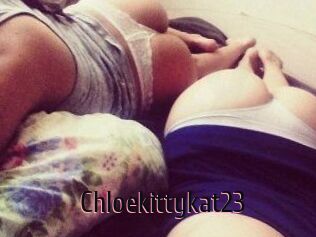 Chloekittykat23