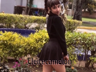 Cleirecamelon