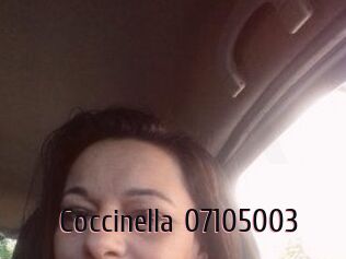 Coccinella-07105003