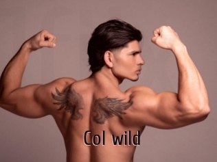 col_wild 1 film x