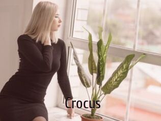Crocus