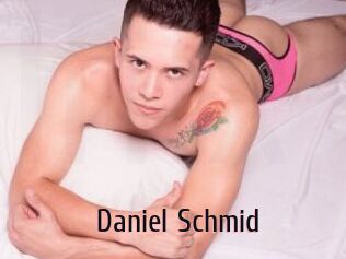 Daniel_Schmid