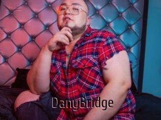 DanyBridge
