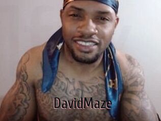 David_Maze