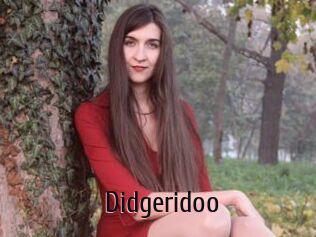 Didgeridoo