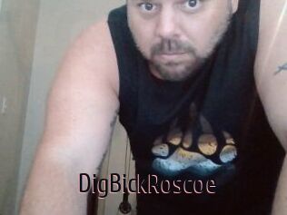DigBickRoscoe