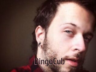DingoCub
