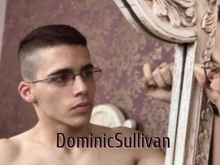 DominicSullivan
