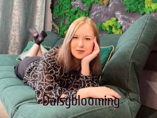 Daisyblooming
