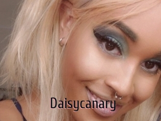Daisycanary