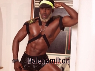 dalehamilton 1 film x