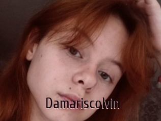Damariscolvin