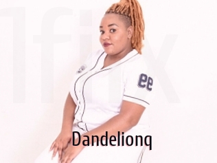 Dandelionq