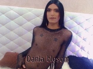 Dania_blosom