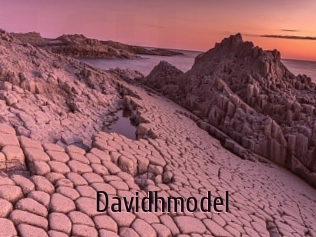 Davidhmodel