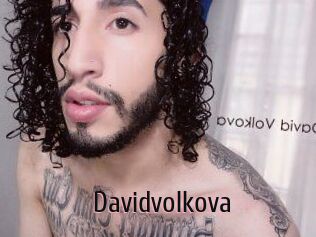 Davidvolkova