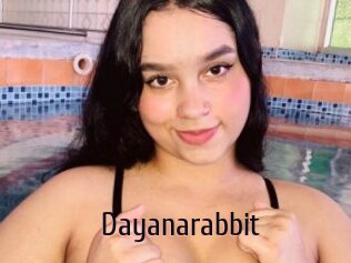 Dayanarabbit