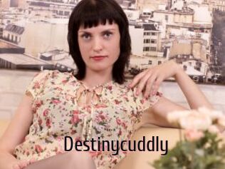 Destinycuddly