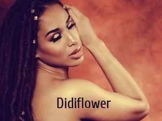 Didiflower
