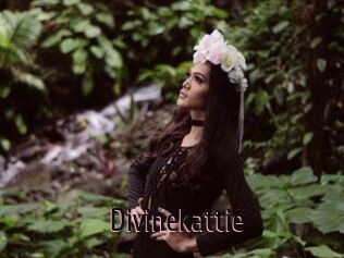 Divinekattie