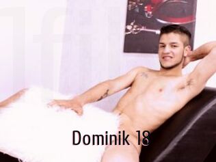Dominik_18