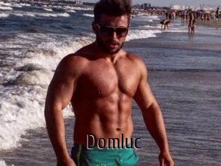 Domluc