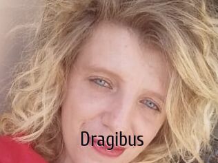 Dragibus