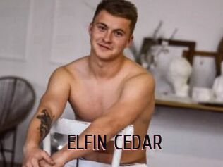 ELFIN_CEDAR