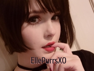 EllePurrsXO