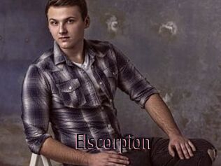 Elscorpion