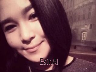 EsinAi