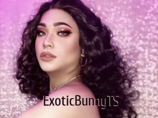 ExoticBunnyTS