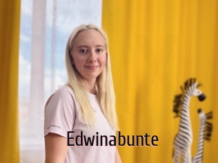 Edwinabunte