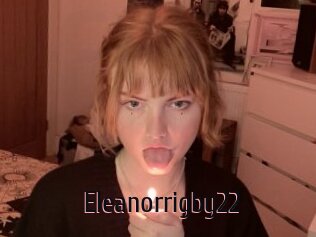 Eleanorrigby22