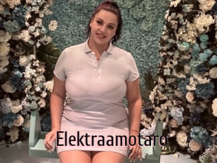 Elektraamotaro