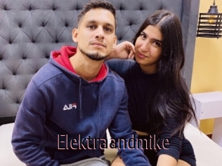 Elektraandmike